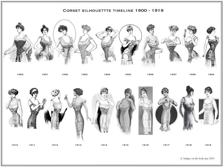 evolution of womens bodies